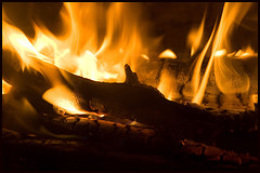 Can I clean my fireplace by salting the wood while it is burning?