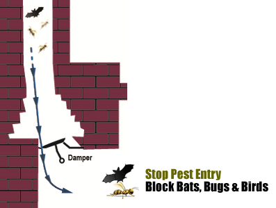 stop bats and birds from entering your fireplace chimney